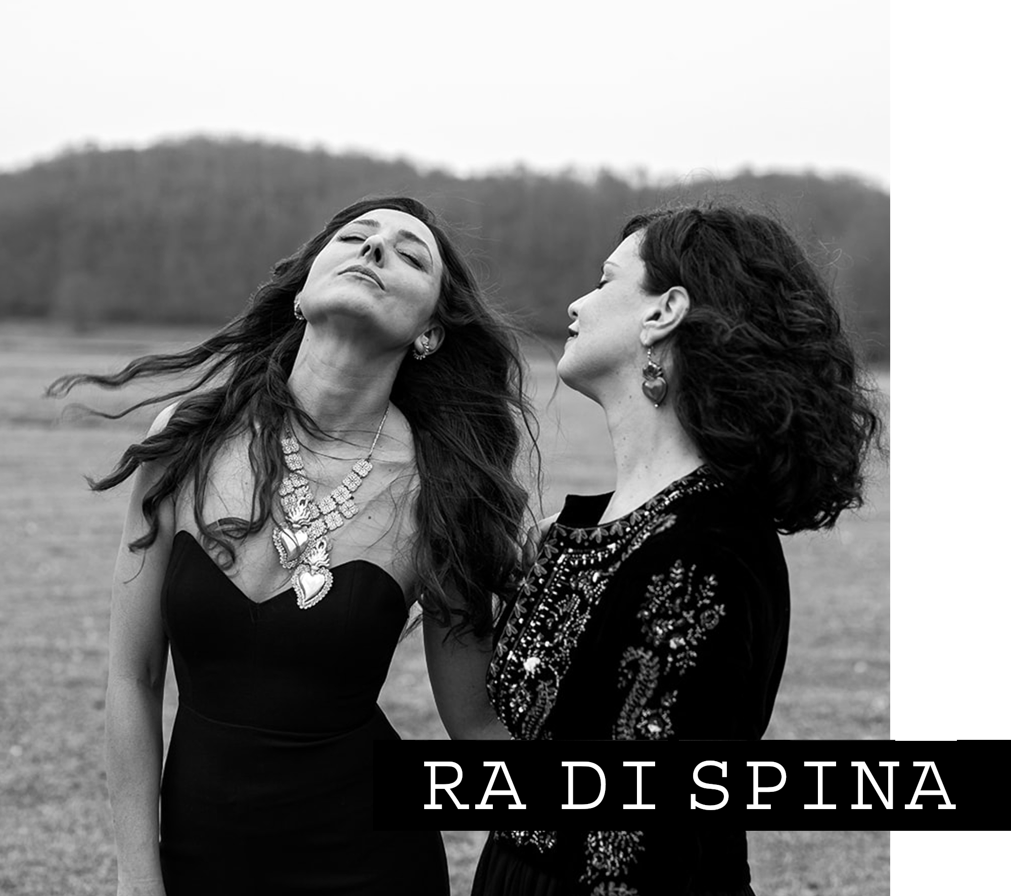 RA DI SPINA home